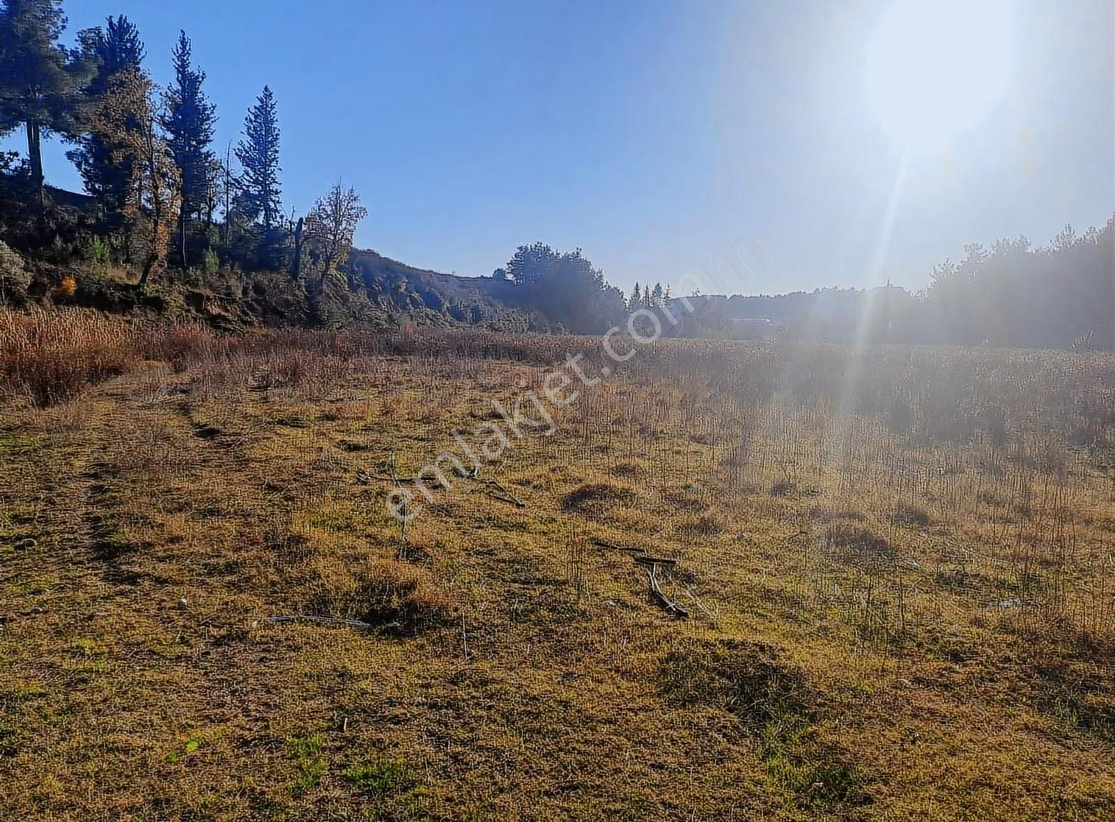 Antalya Manavgat Usanmaz Emlak Tan Örenşehir De Satılık İki Tapu - Görsel 11