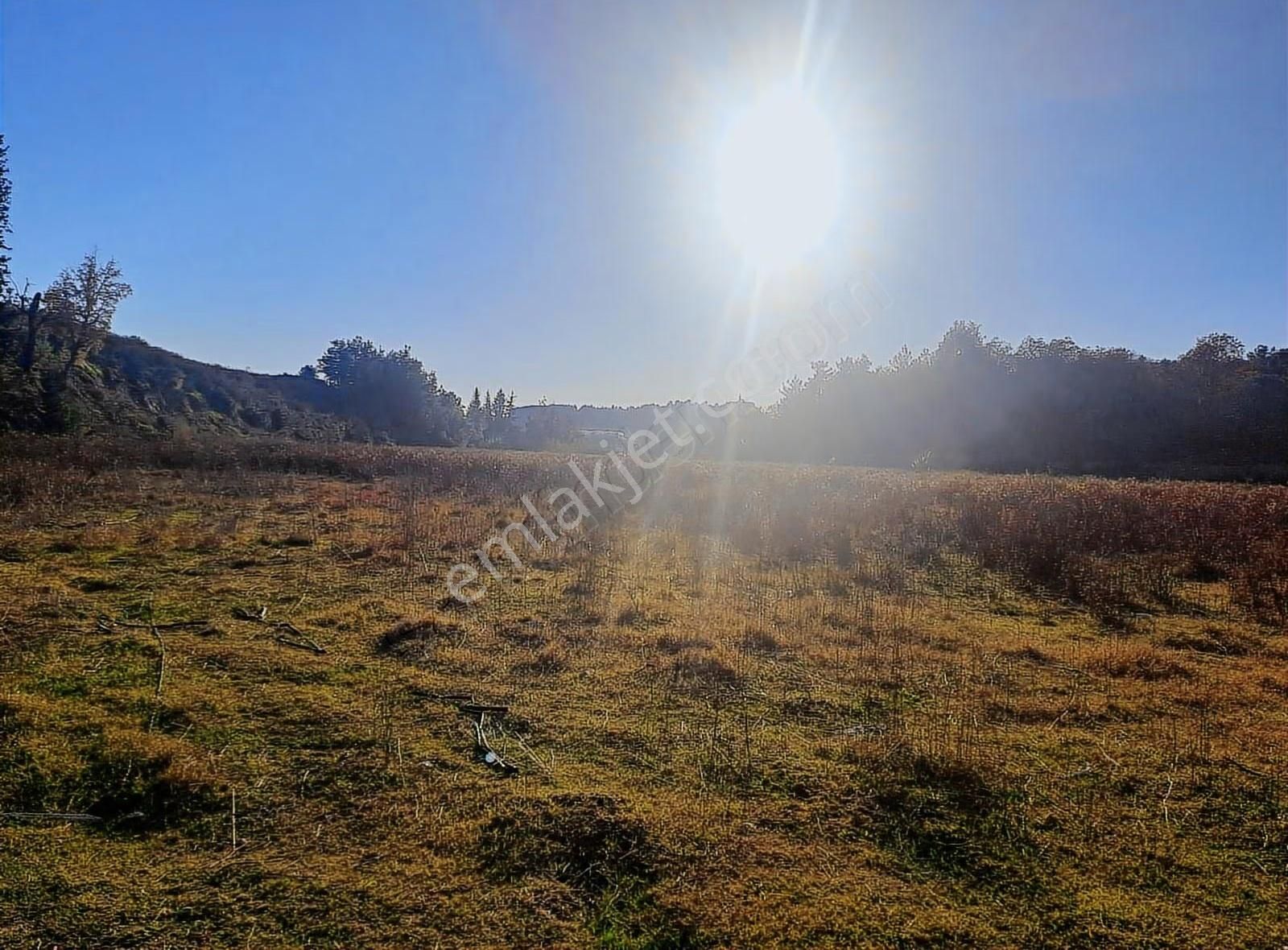 Antalya Manavgat Usanmaz Emlak Tan Örenşehir De Satılık İki Tapu