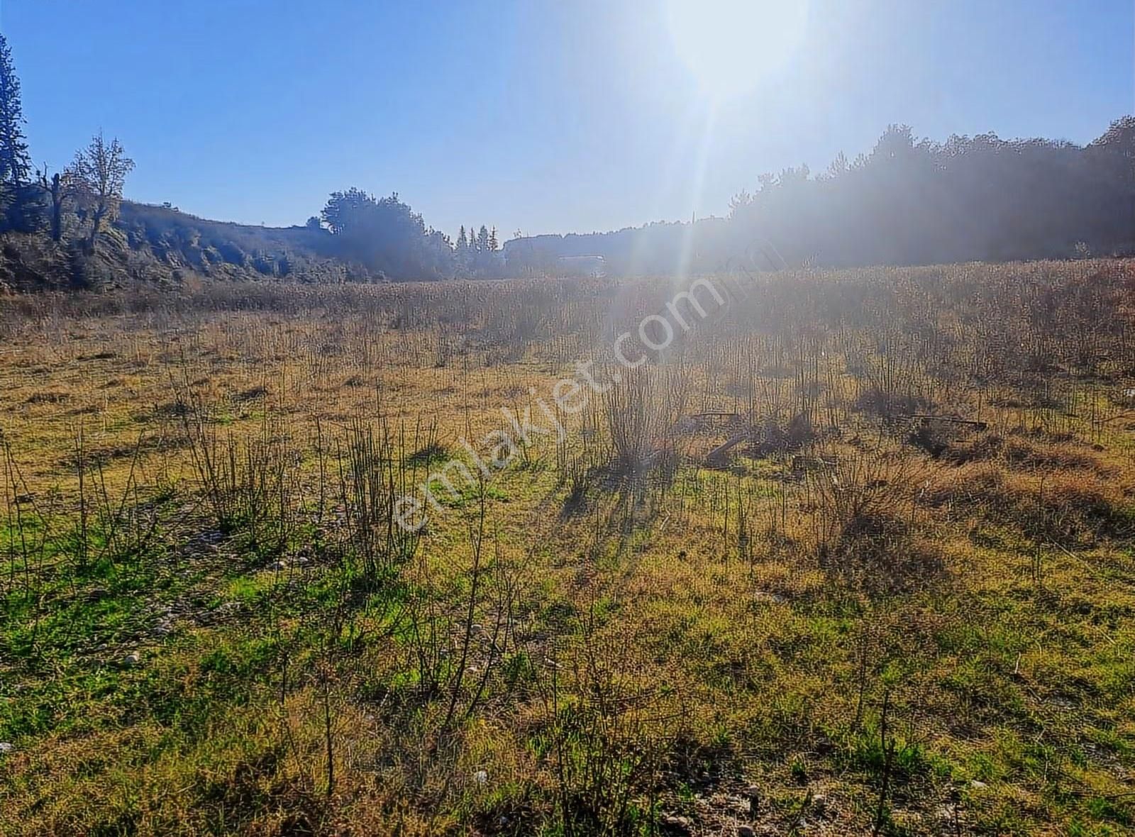 Antalya Manavgat Usanmaz Emlak Tan Örenşehir De Satılık İki Tapu - Görsel 15