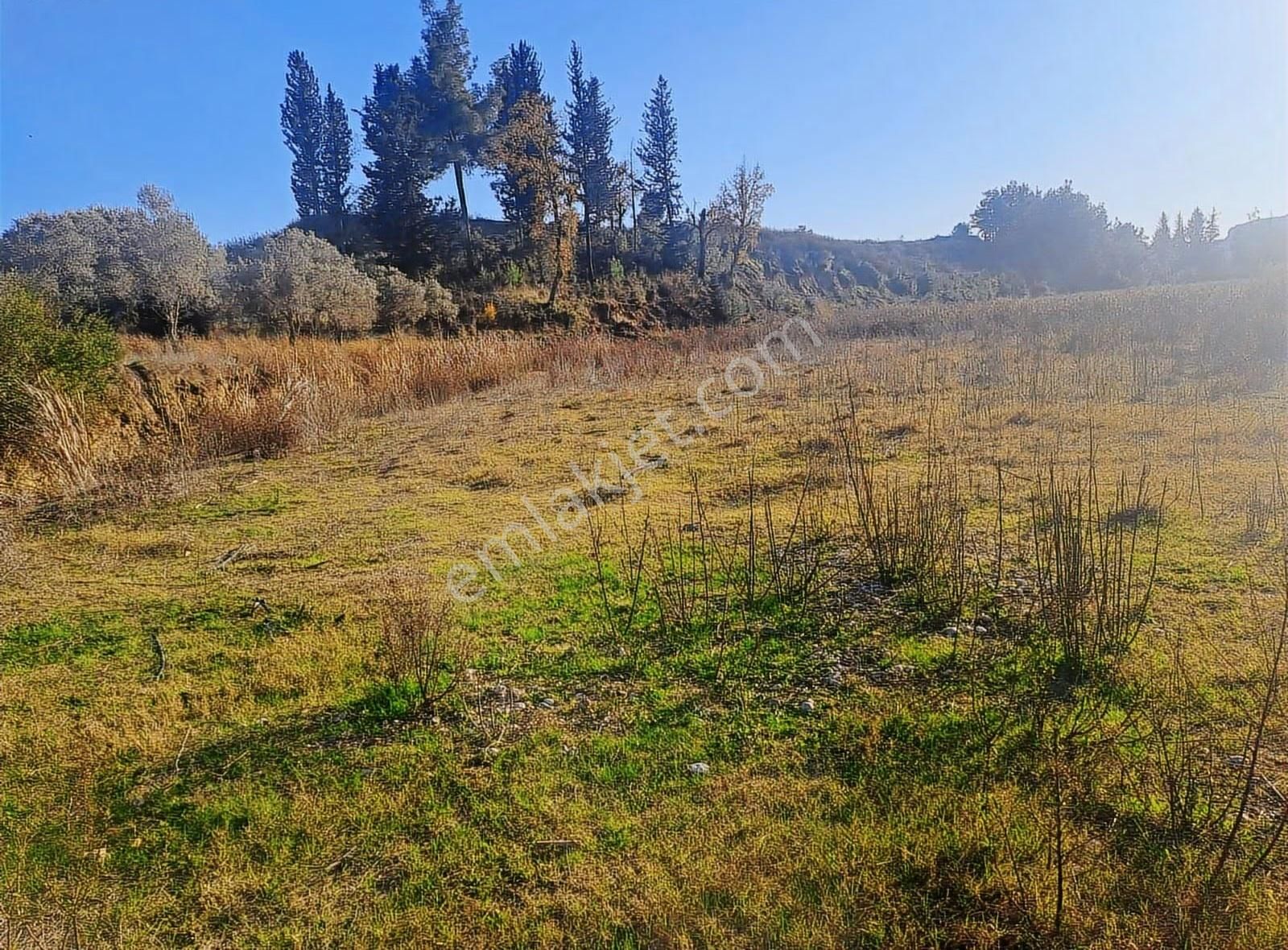 Antalya Manavgat Usanmaz Emlak Tan Örenşehir De Satılık İki Tapu - Görsel 10