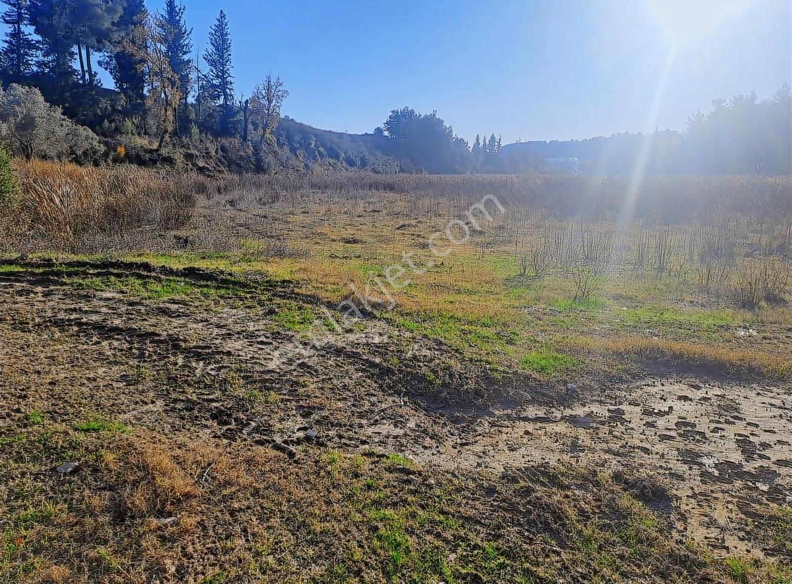 Antalya Manavgat Usanmaz Emlak Tan Örenşehir De Satılık İki Tapu - Görsel 14