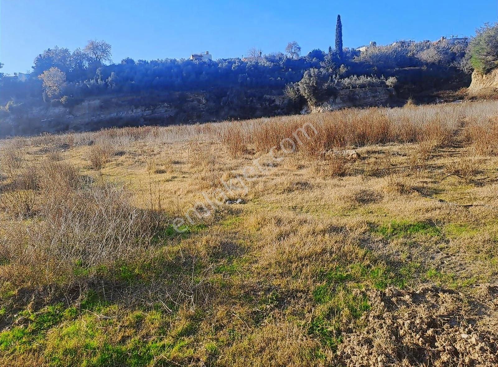 Antalya Manavgat Usanmaz Emlak Tan Örenşehir De Satılık İki Tapu - Görsel 6