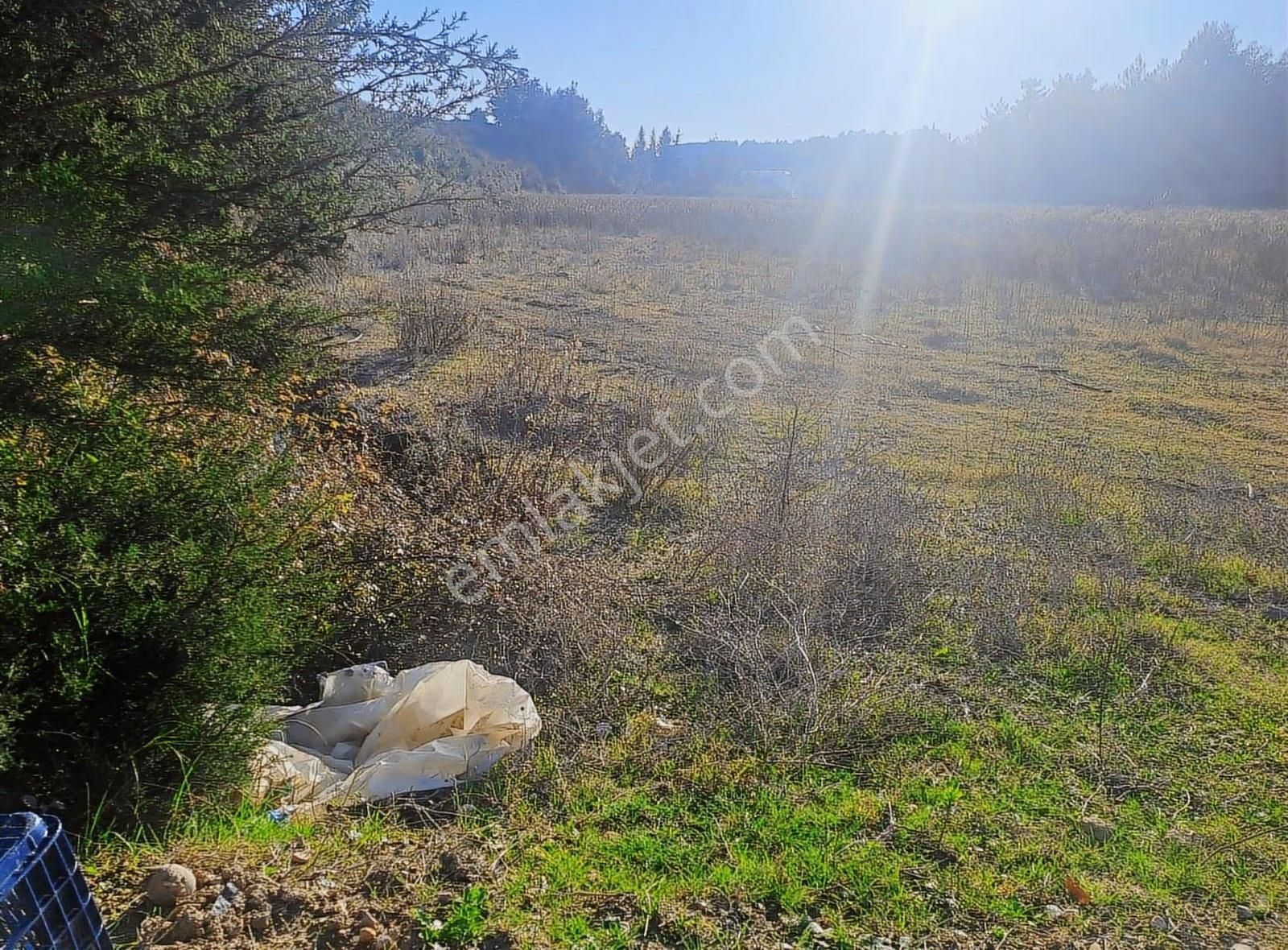 Antalya Manavgat Usanmaz Emlak Tan Örenşehir De Satılık İki Tapu - Görsel 4