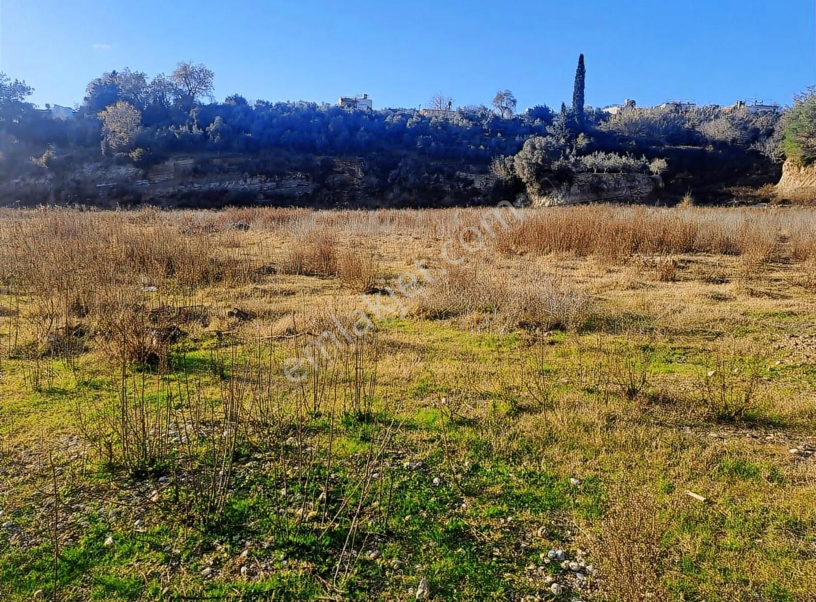 Antalya Manavgat Usanmaz Emlak Tan Örenşehir De Satılık İki Tapu - Görsel 2