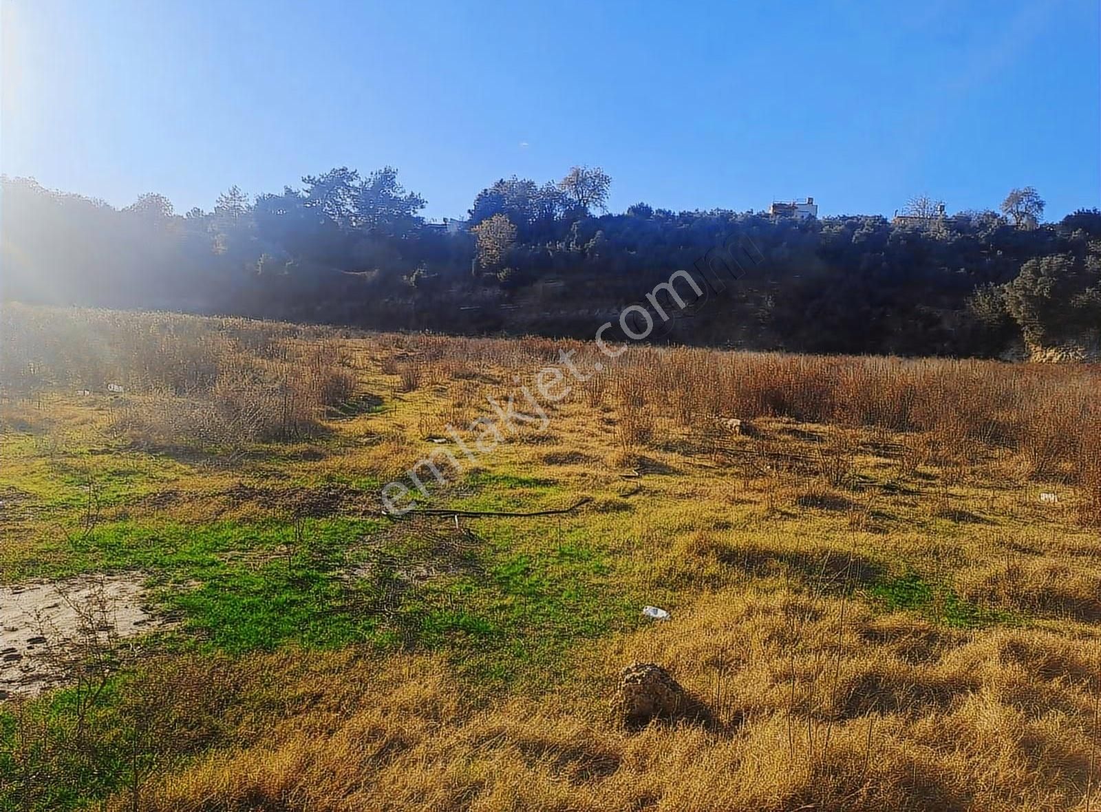 Antalya Manavgat Usanmaz Emlak Tan Örenşehir De Satılık İki Tapu - Görsel 7