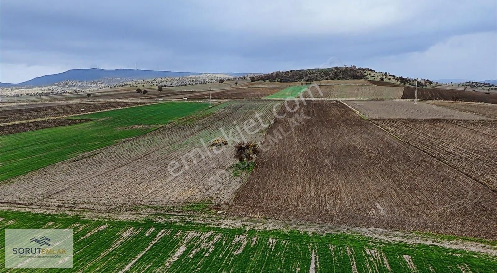Enez Çavuşköyde 18.500 M² Büyük Metrajlı Satılık Tarla - Görsel 28