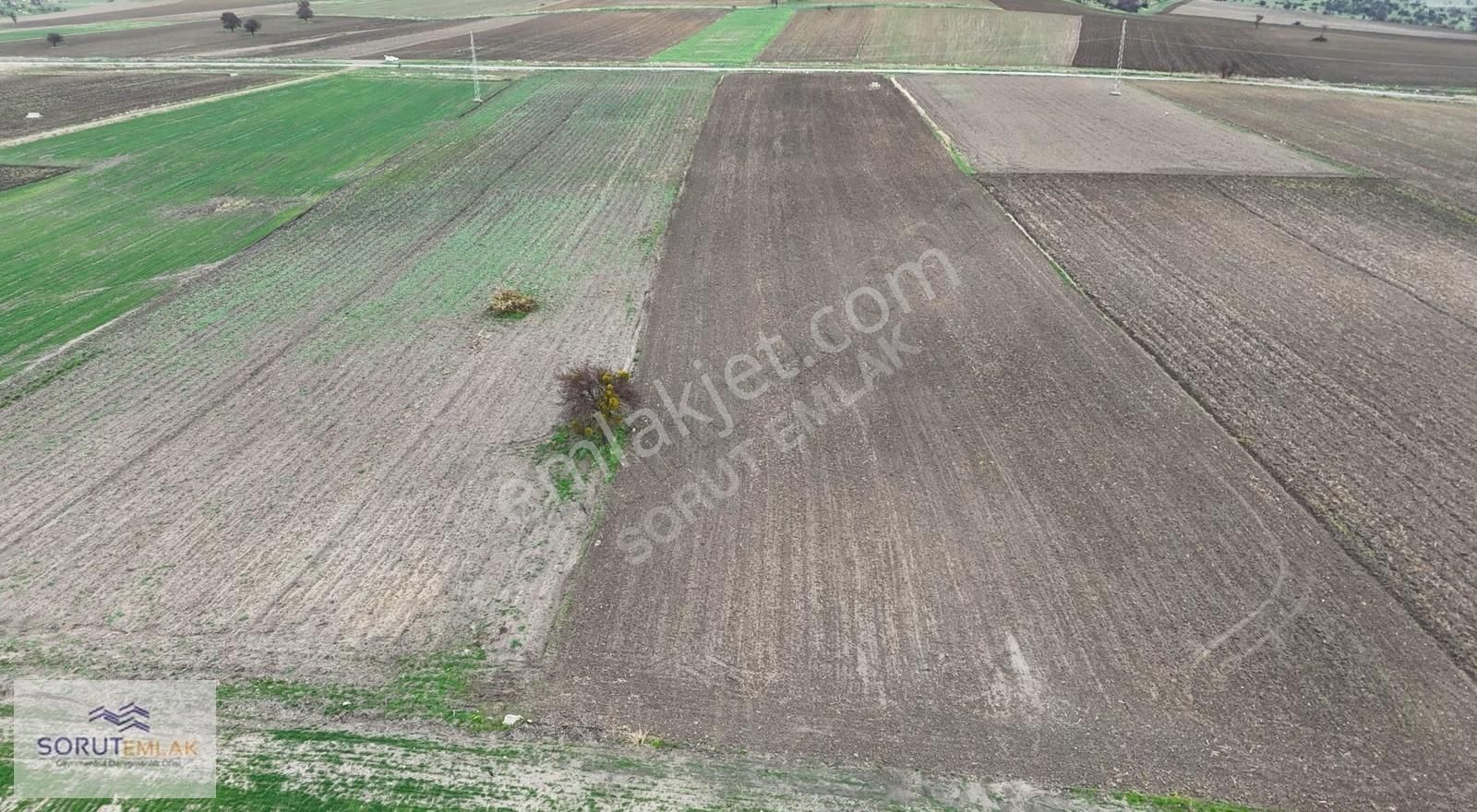 Enez Çavuşköyde 18.500 M² Büyük Metrajlı Satılık Tarla - Görsel 31