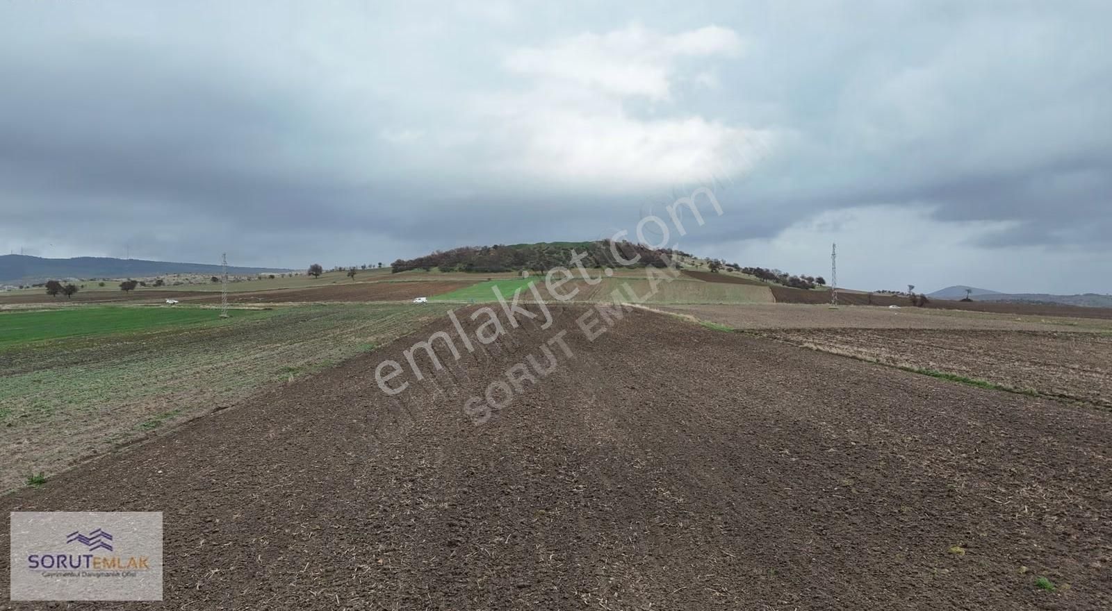 Enez Çavuşköyde 18.500 M² Büyük Metrajlı Satılık Tarla - Görsel 3