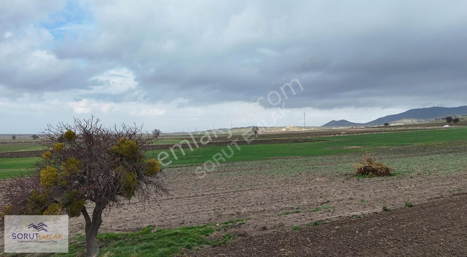 Enez Çavuşköyde 18.500 M² Büyük Metrajlı Satılık Tarla - Görsel 19