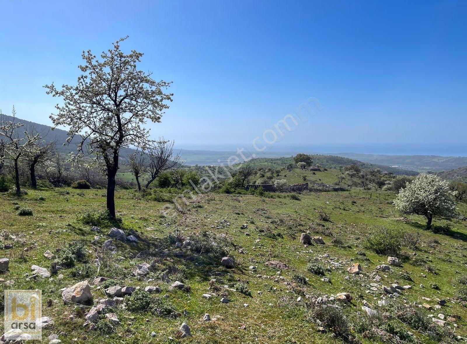 Panoramik Ege Manzaralı Konut İnşaatına Uygun İmarlı 7.718 M² - Görsel 23