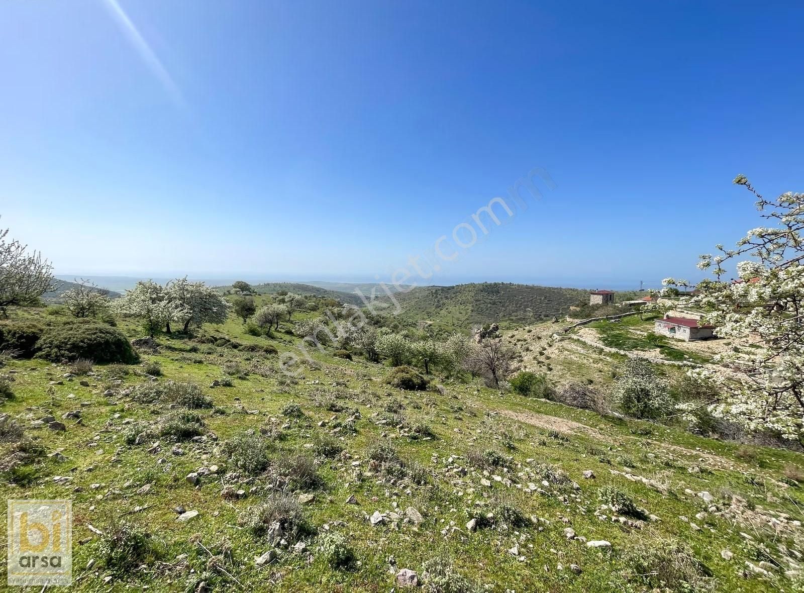 Panoramik Ege Manzaralı Konut İnşaatına Uygun İmarlı 7.718 M² - Görsel 6