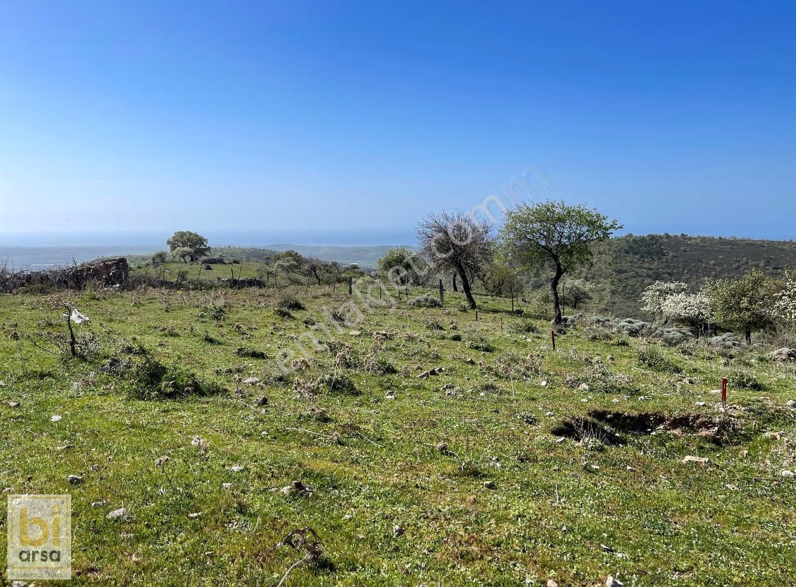 Panoramik Ege Manzaralı Konut İnşaatına Uygun İmarlı 7.718 M² - Görsel 20