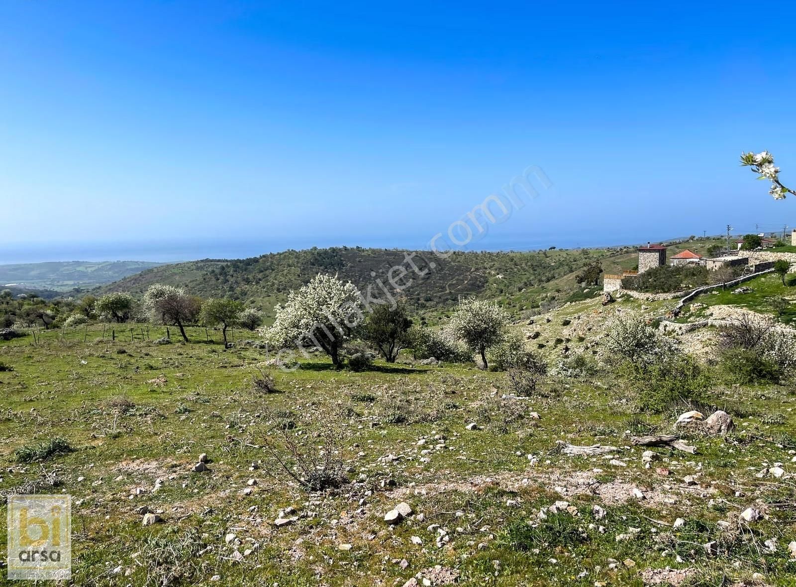 Panoramik Ege Manzaralı Konut İnşaatına Uygun İmarlı 7.718 M² - Görsel 5