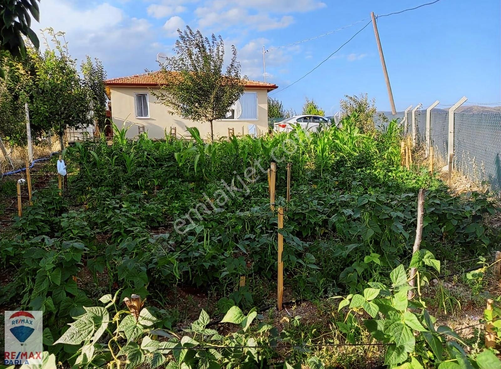 Çorum Kuruçay Manzaralı Hobi Bahçesi & Evli Parsel - Görsel 12