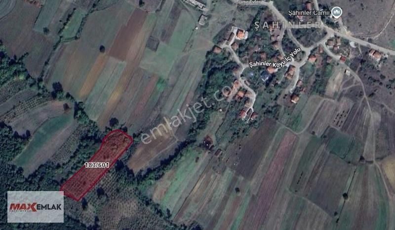 İzmit Şahinlerde Satılık Köy İçine Yakın 6,555 M2 Tarla - Görsel 3