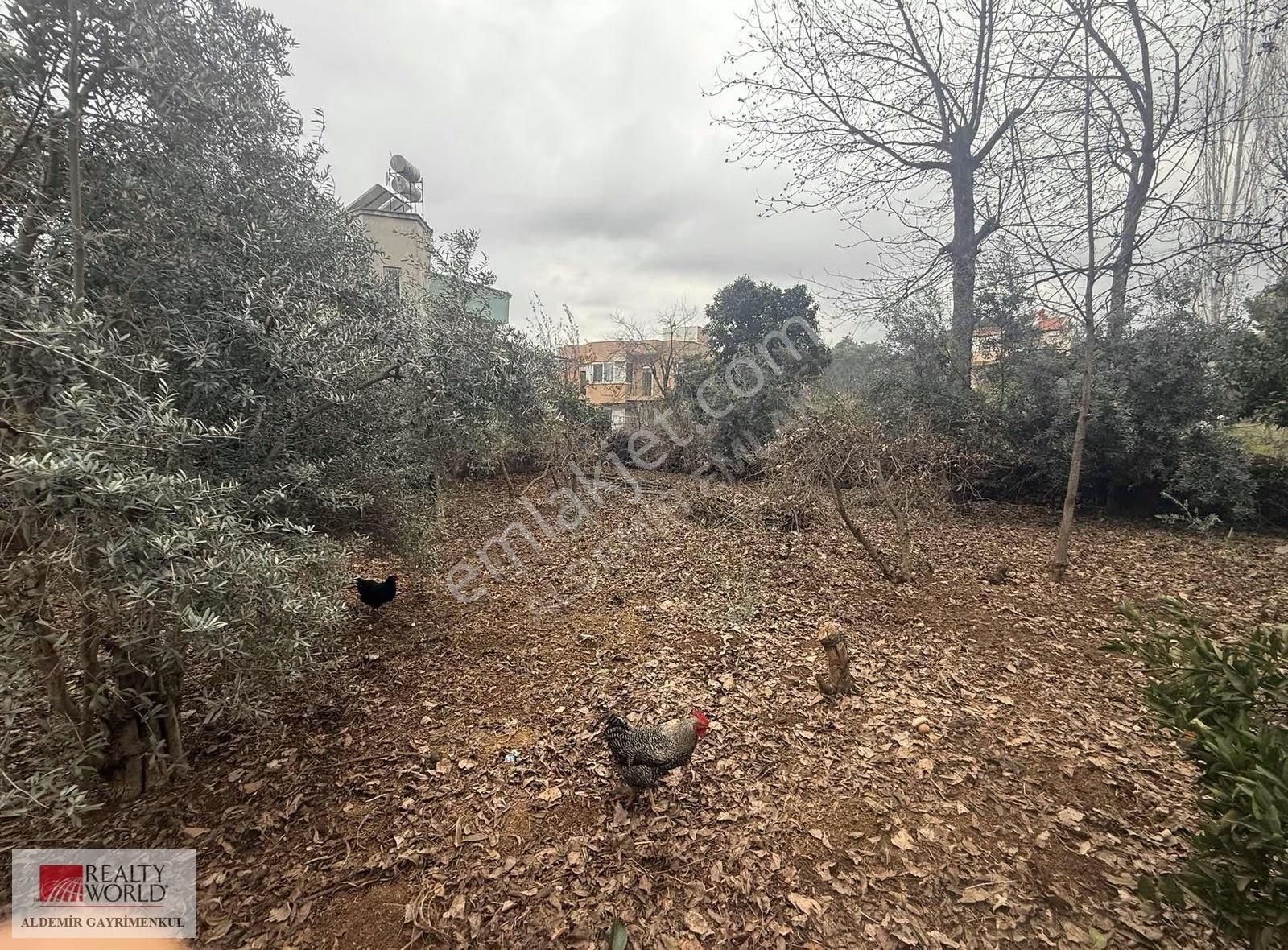 Antalya Döşemealtı Yalınlı Mah De Yazlık Bahçeli 1190 M2 Ev - Görsel 5