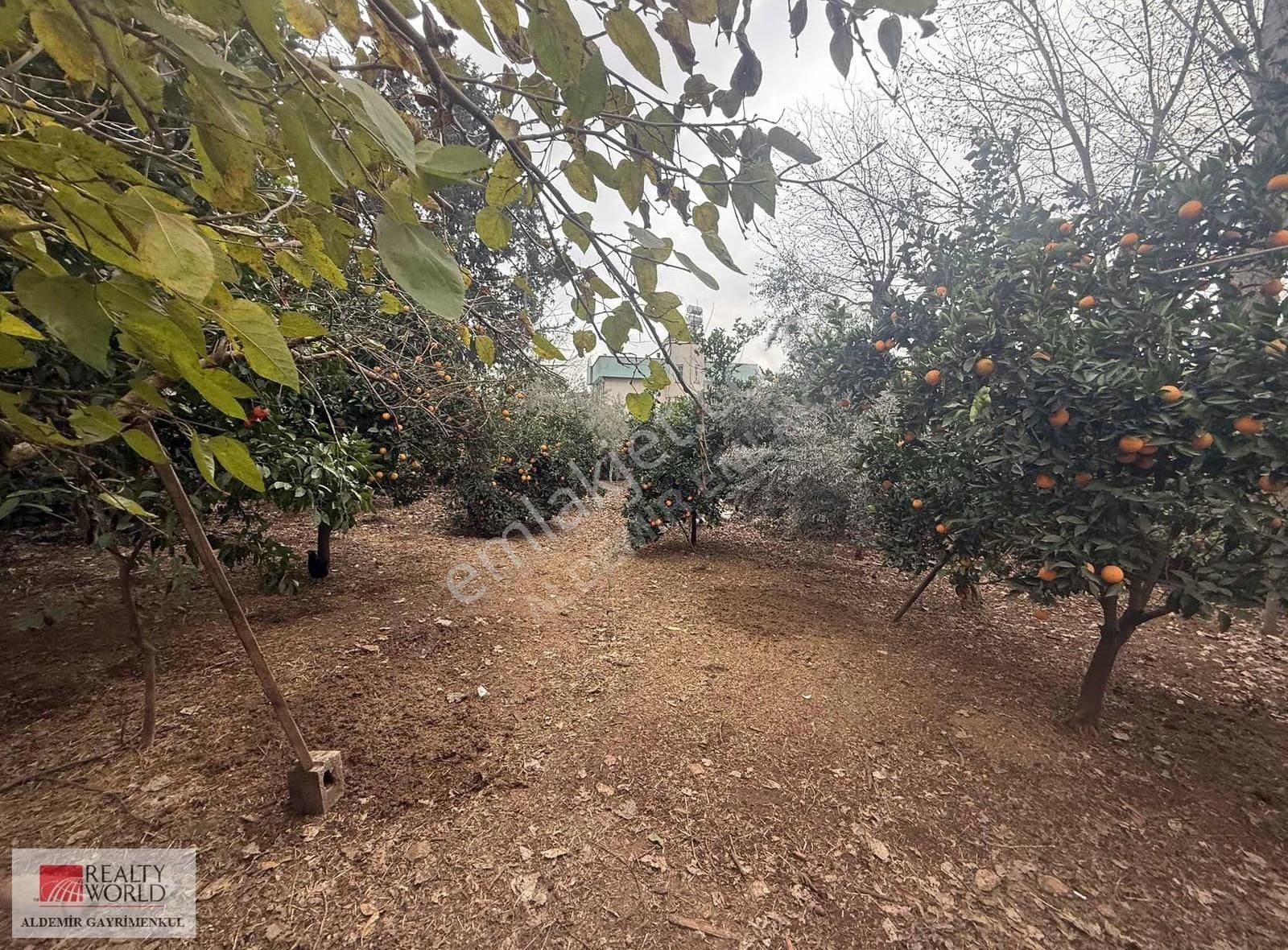 Antalya Döşemealtı Yalınlı Mah De Yazlık Bahçeli 1190 M2 Ev - Görsel 16