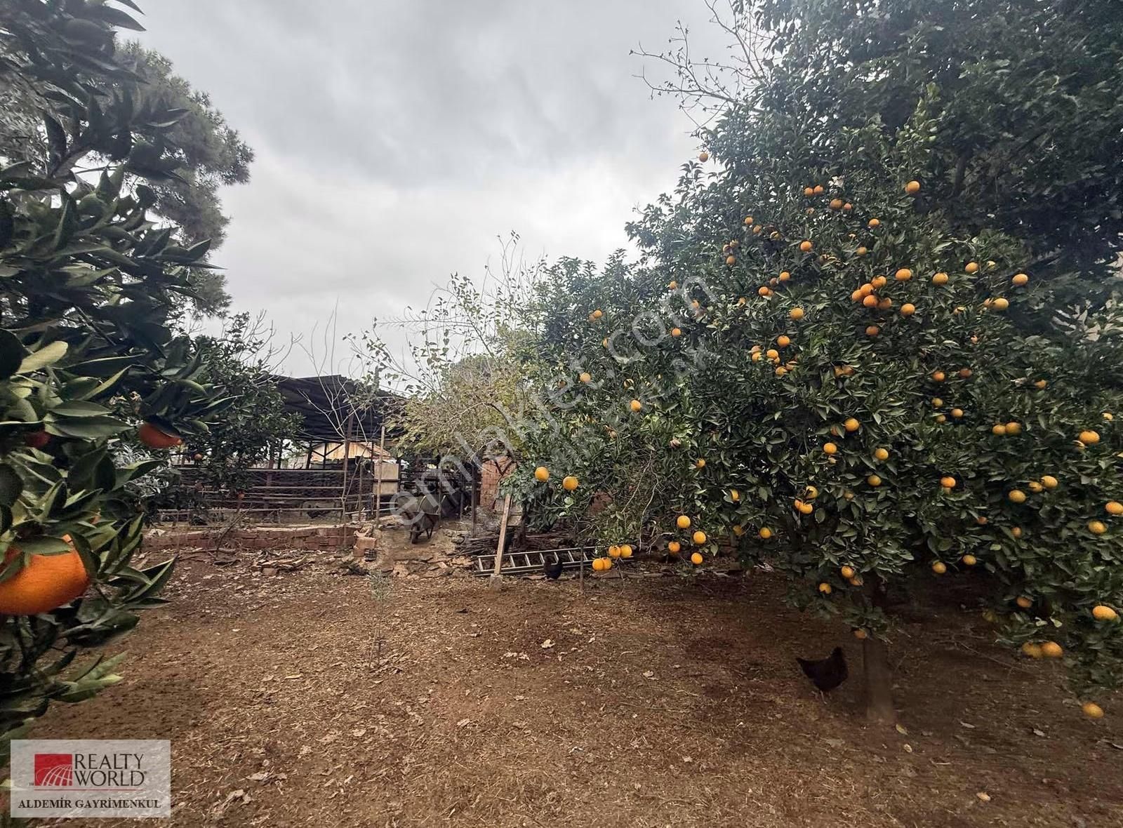 Antalya Döşemealtı Yalınlı Mah De Yazlık Bahçeli 1190 M2 Ev - Görsel 15