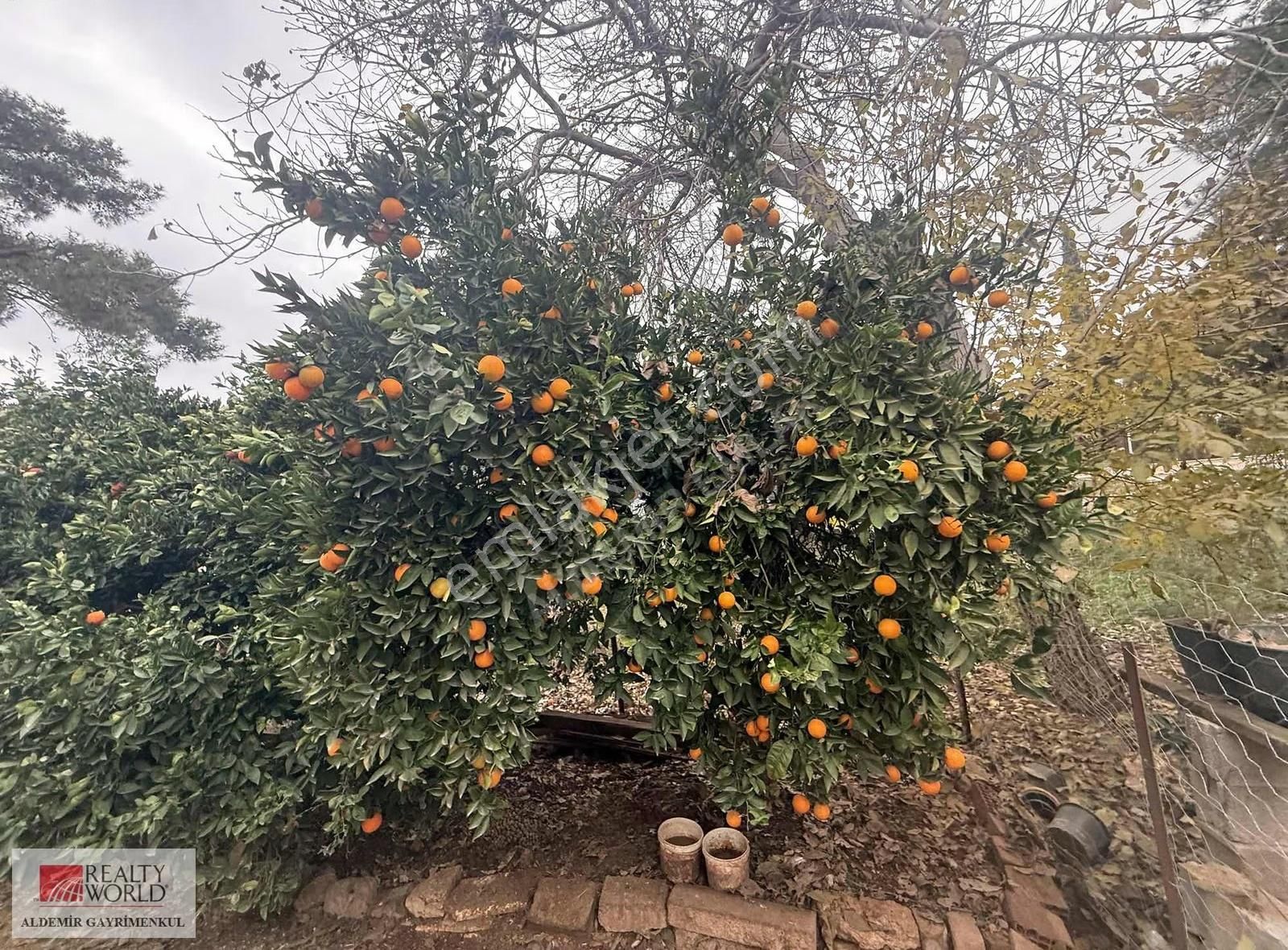 Antalya Döşemealtı Yalınlı Mah De Yazlık Bahçeli 1190 M2 Ev - Görsel 9