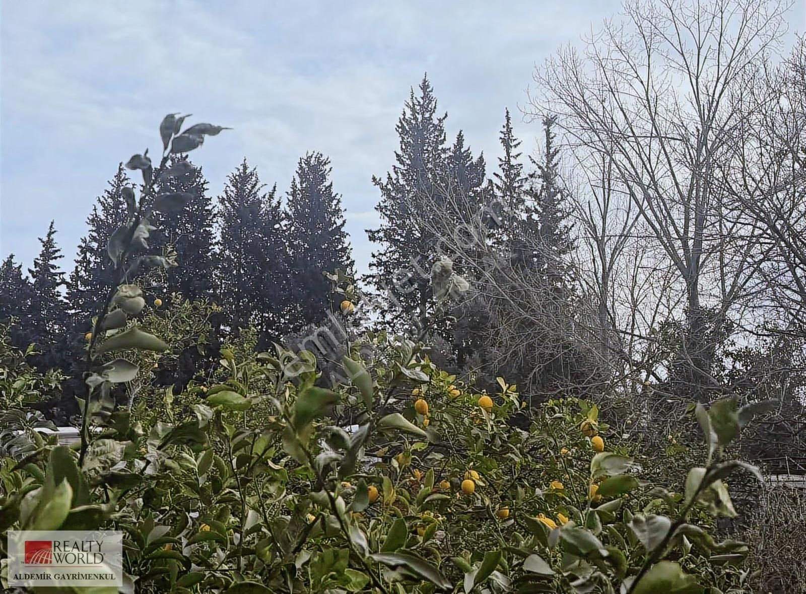 Antalya Döşemealtı Yalınlı Da 500 M2 Arsa - Görsel 18