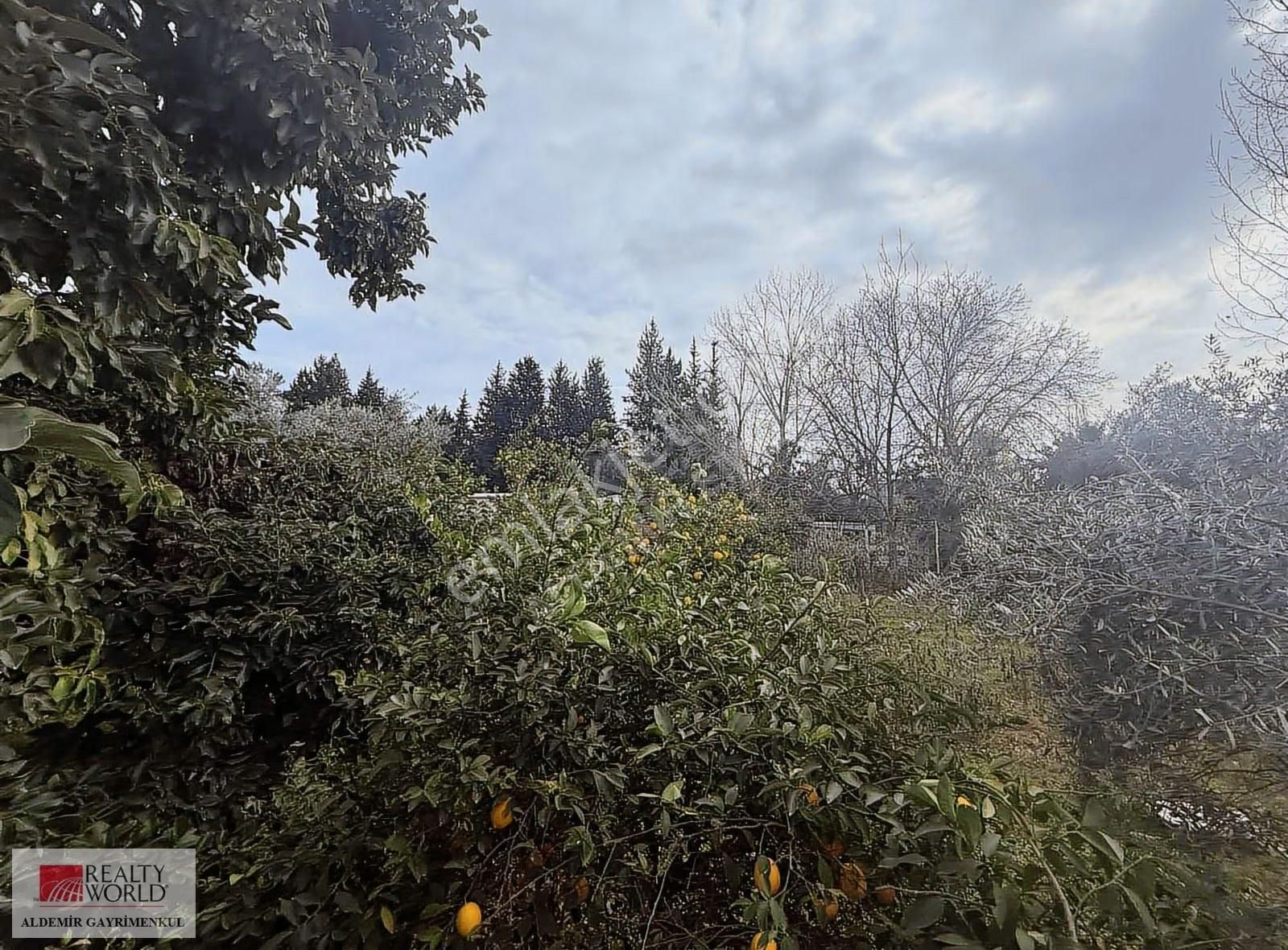 Antalya Döşemealtı Yalınlı Da 500 M2 Arsa - Görsel 4