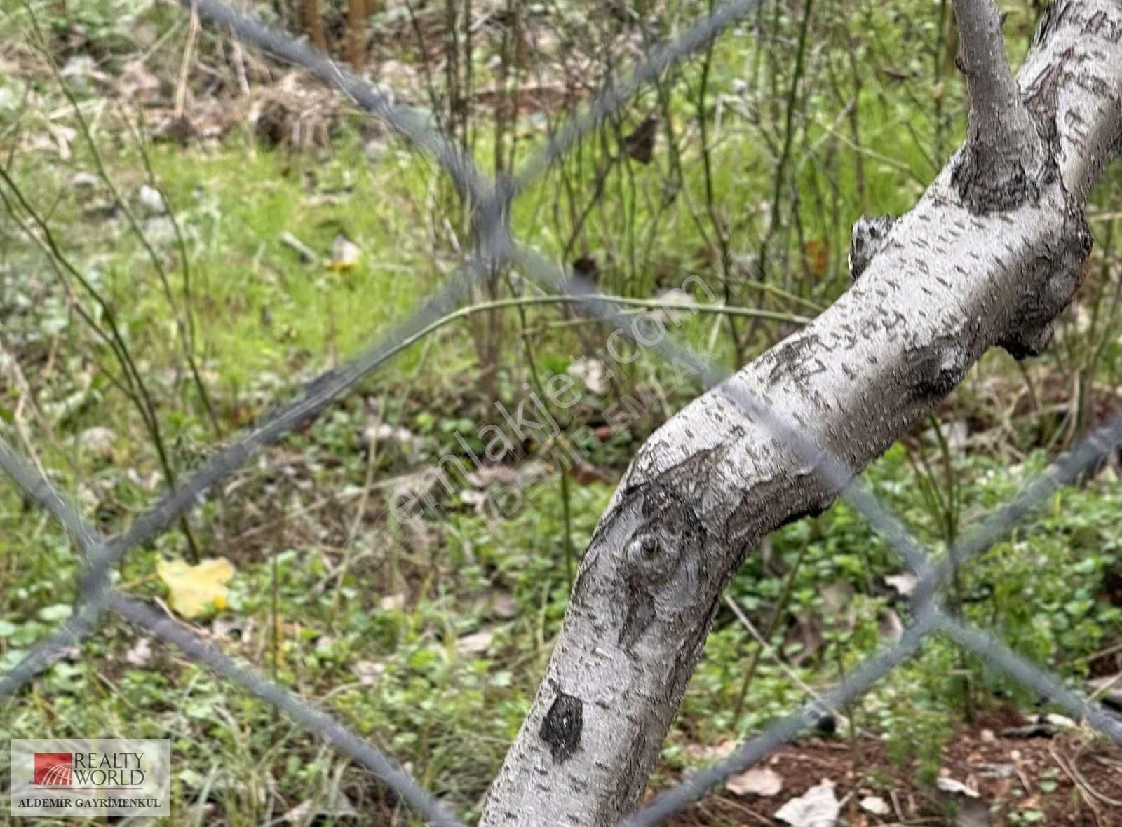 Antalya Döşemealtı Yalınlı Da 500 M2 Arsa - Görsel 2