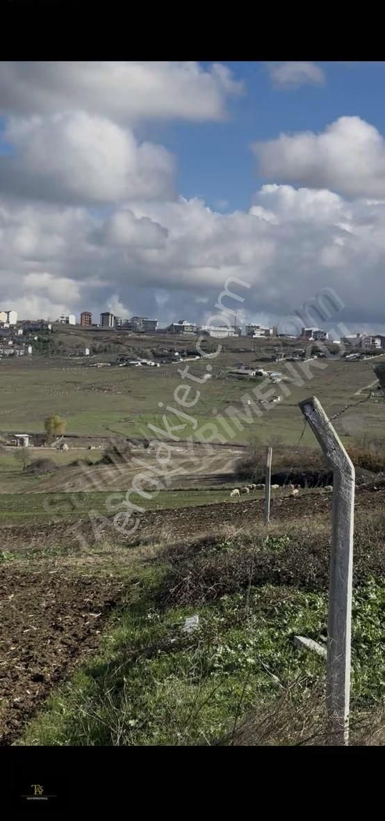 Arnavutköy Haraççı Türkköşe Satılık Arsa. - Görsel 10
