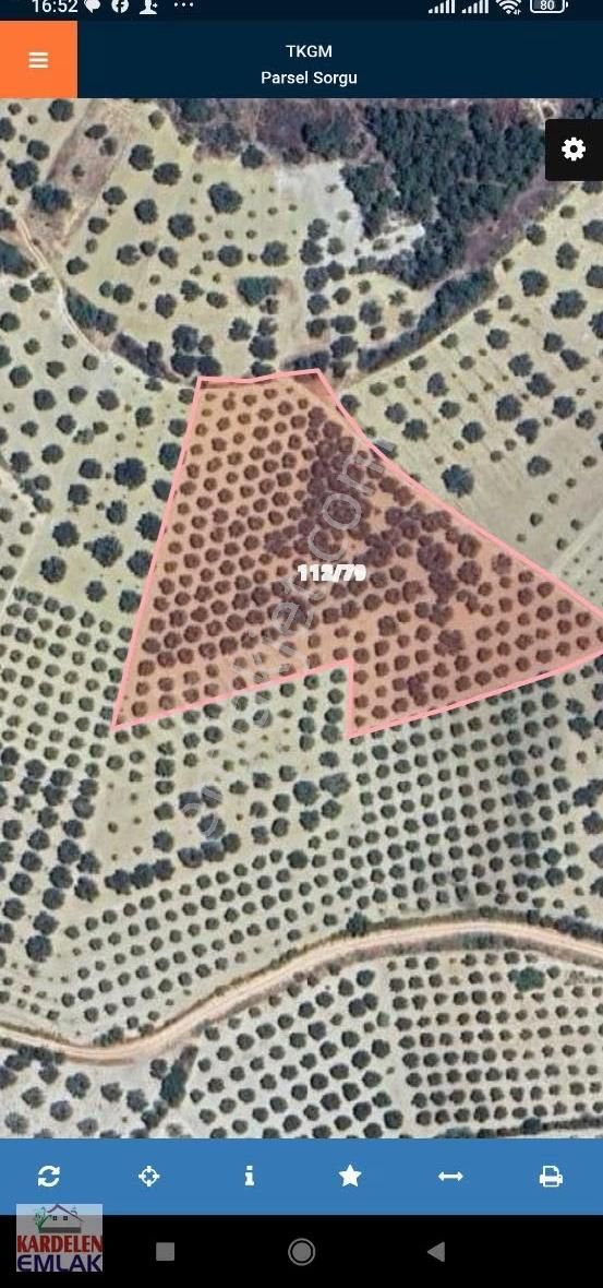 Soma Kardelen Emlak'tan Karacakaş Köyünde Satılık Zeytinlik... - Görsel 5
