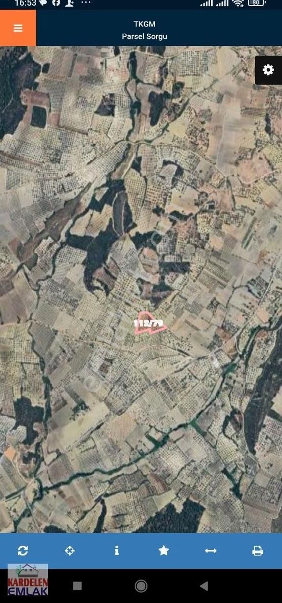 Soma Kardelen Emlak'tan Karacakaş Köyünde Satılık Zeytinlik... - Görsel 2