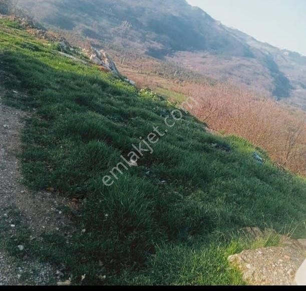 Acil Sakarya Taraklı Dışdedeler De 122 M2 Arsa Satılıktır - Görsel 4