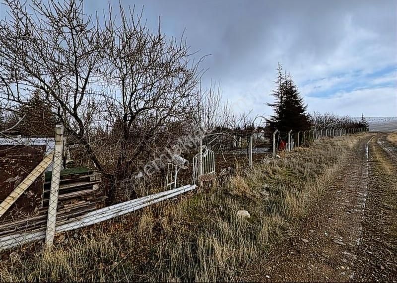 Karaoğlan Mahallesi'nde Hisse Tapulu Bağ Yeri