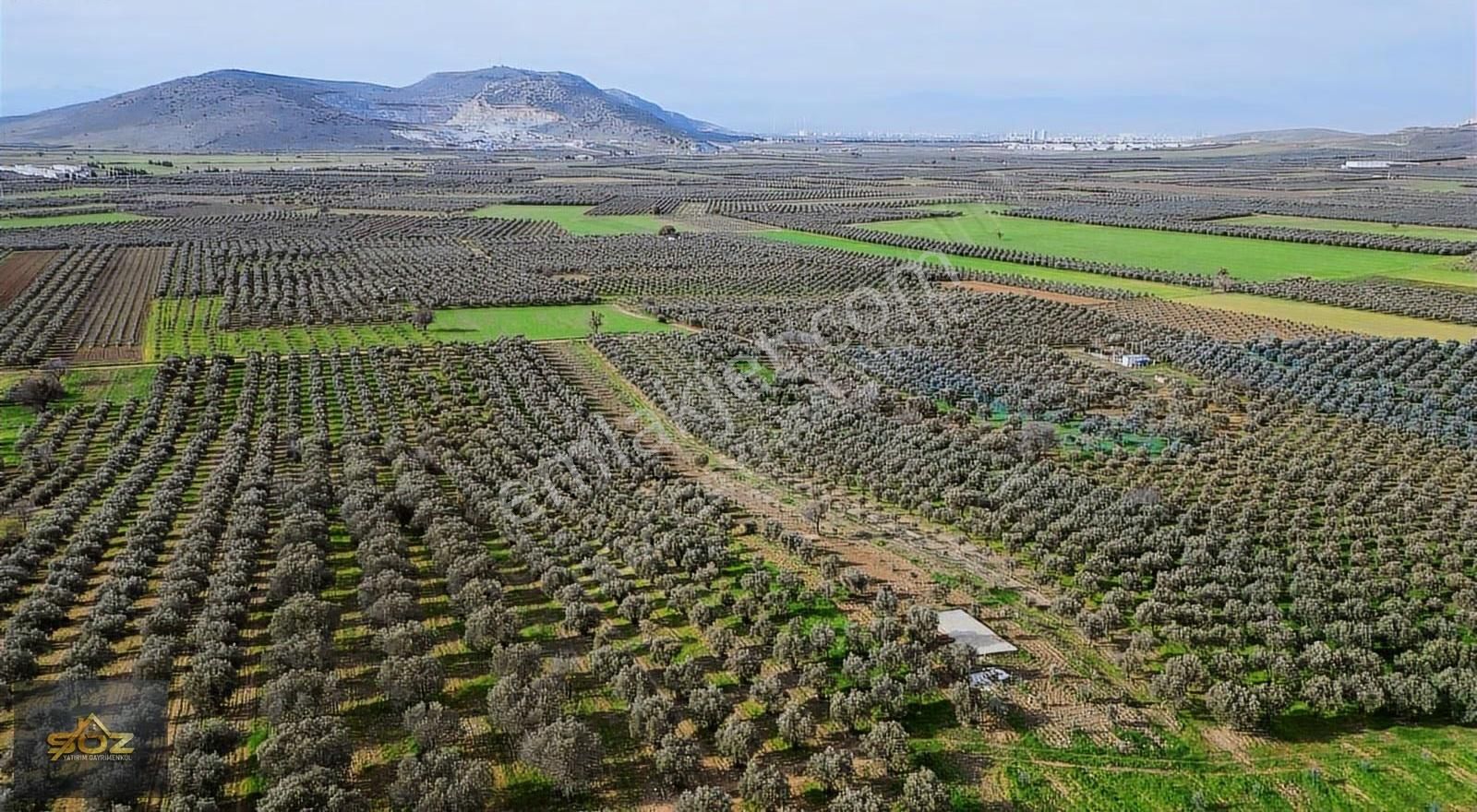 Kızlaralanı 2.400m2 Kooperatif Sulu-damlama Sistemi-yolu Var - Görsel 4