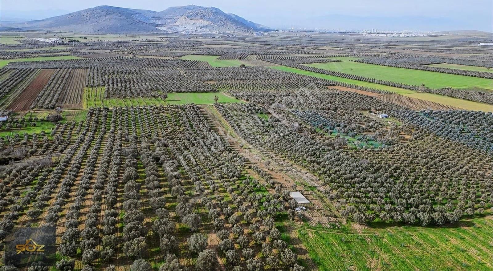 Kızlaralanı 2.400m2 Kooperatif Sulu-damlama Sistemi-yolu Var - Görsel 2