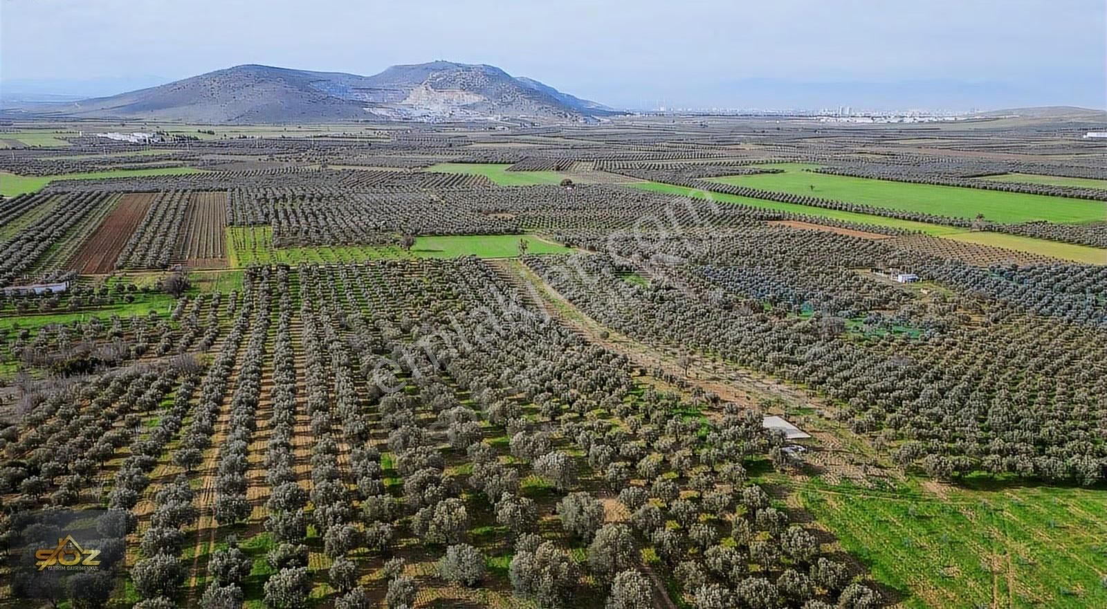 Kızlaralanı 2.400m2 Kooperatif Sulu-damlama Sistemi-yolu Var - Görsel 13