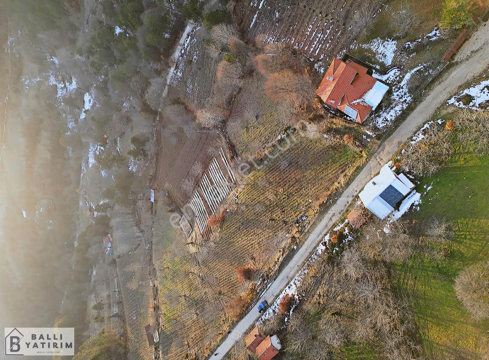 Ballı'dan Küçükdeliler'de Tek Tapu Doğanın Kalbinde Fırsat Tarla - Görsel 6