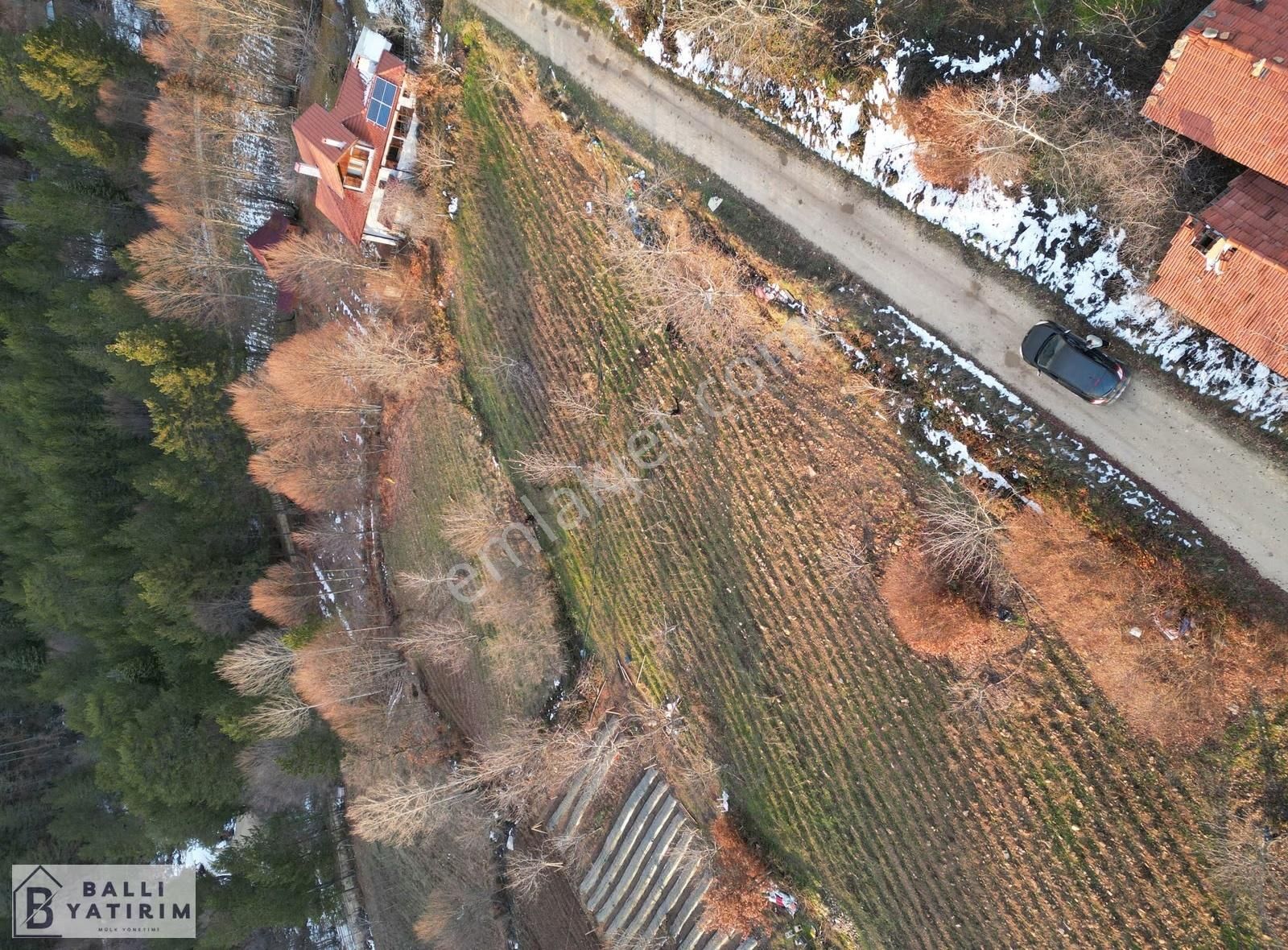 Ballı'dan Küçükdeliler'de Tek Tapu Doğanın Kalbinde Fırsat Tarla - Görsel 7