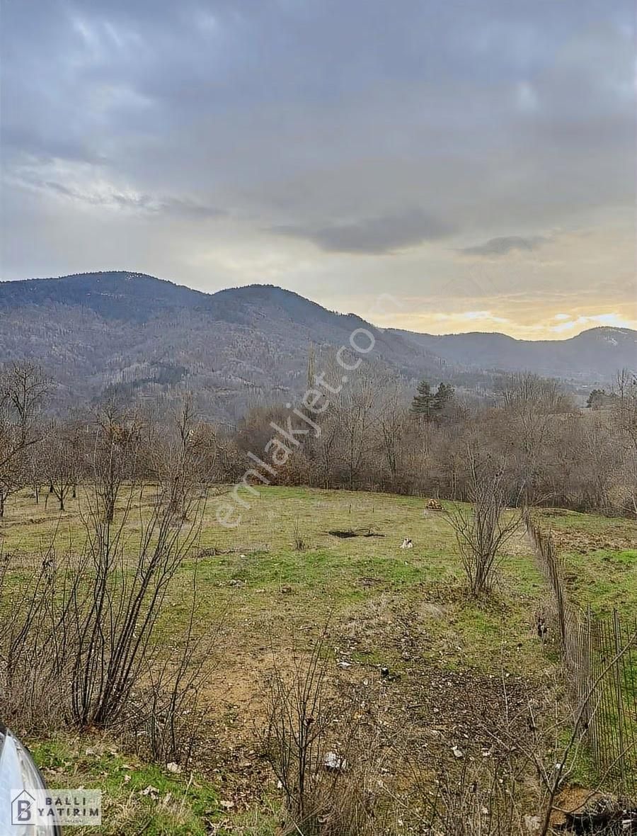 Ballı'dan Küçükdeliler'de Tek Tapu Doğanın Kalbinde Fırsat Tarla