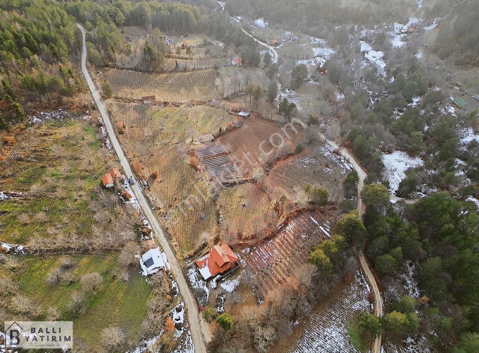 Ballı'dan Küçükdeliler'de Tek Tapu Doğanın Kalbinde Fırsat Tarla - Görsel 9