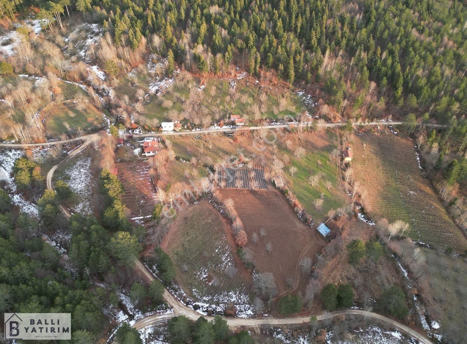 Ballı'dan Küçükdeliler'de Tek Tapu Doğanın Kalbinde Fırsat Tarla - Görsel 2