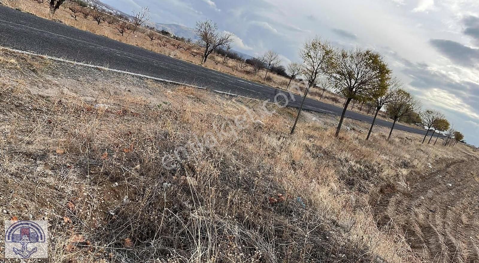 Nevşehir Nar Yeni Sulusaray / Gülşehir Yolu Üzeri