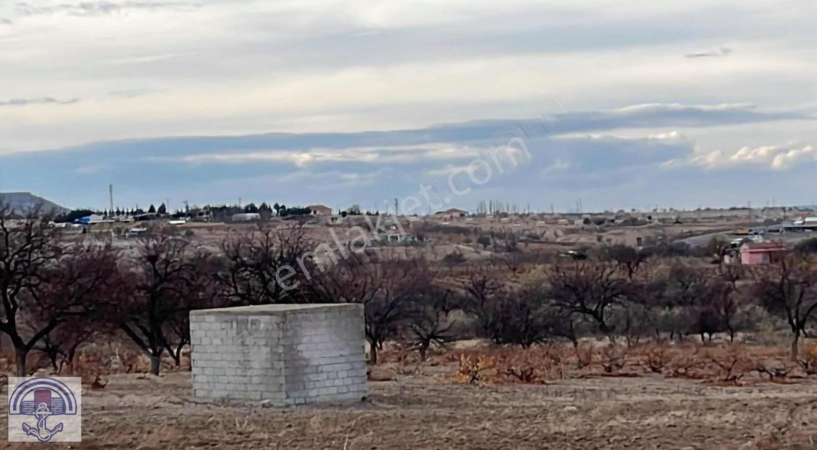 Nevşehir Nar Yeni Sulusaray / Gülşehir Yolu Üzeri - Görsel 4