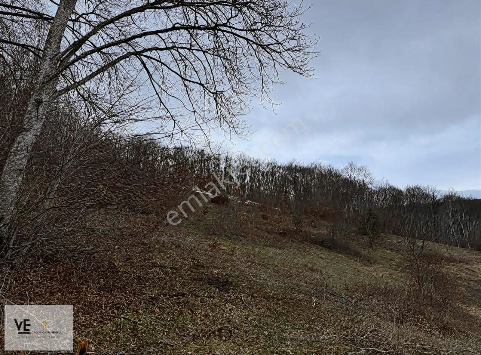 Kavak Duman Köyünde Tek Tapu Fırsat Arsa Kaçmaz!!! - Görsel 8