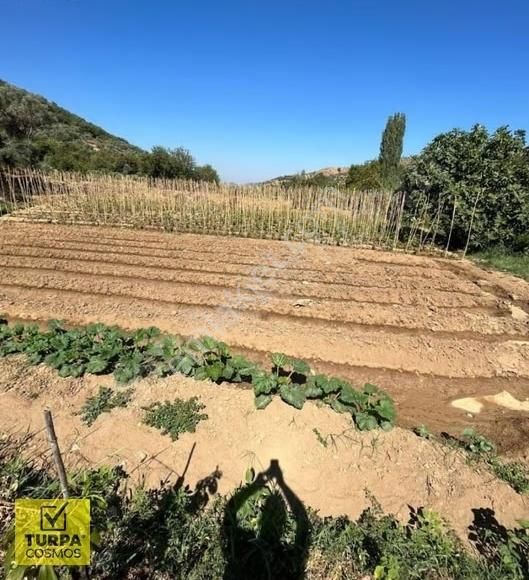 Ödemiş Çamlıcada 483m2 Tek Tapu Bahçe - Görsel 5