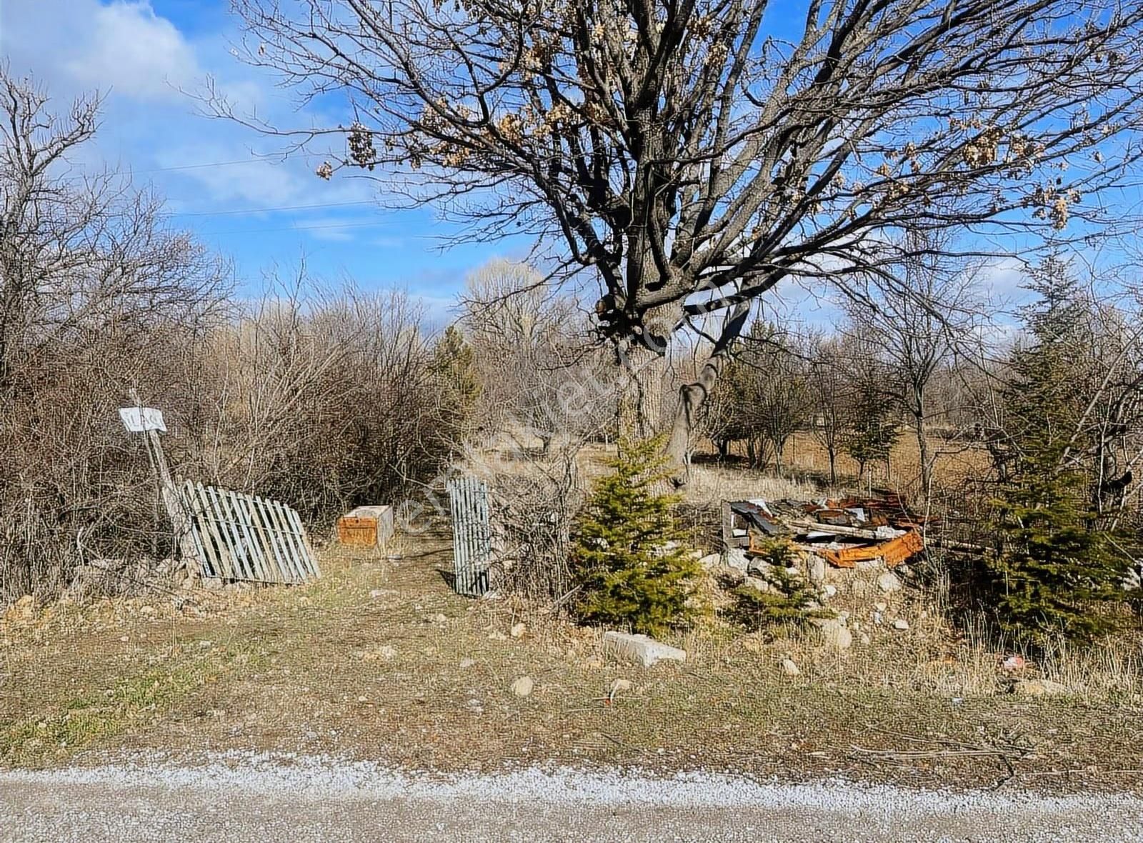 Kulaç Emlaktan Salarda Satılık Hobi Bahçesi Yola Cepheli 800m2