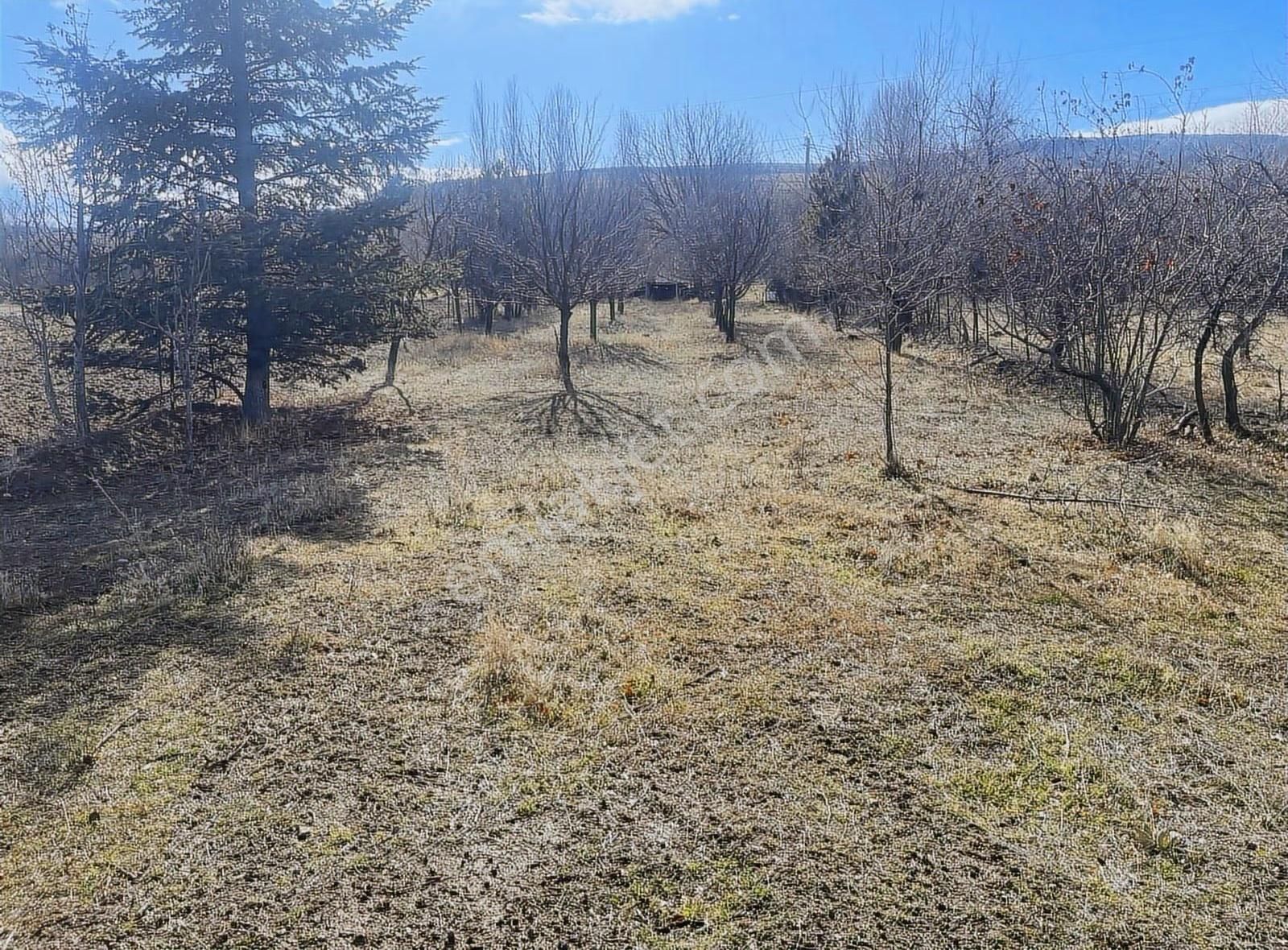 Kulaç Emlaktan Salarda Satılık Hobi Bahçesi Yola Cepheli 800m2 - Görsel 6