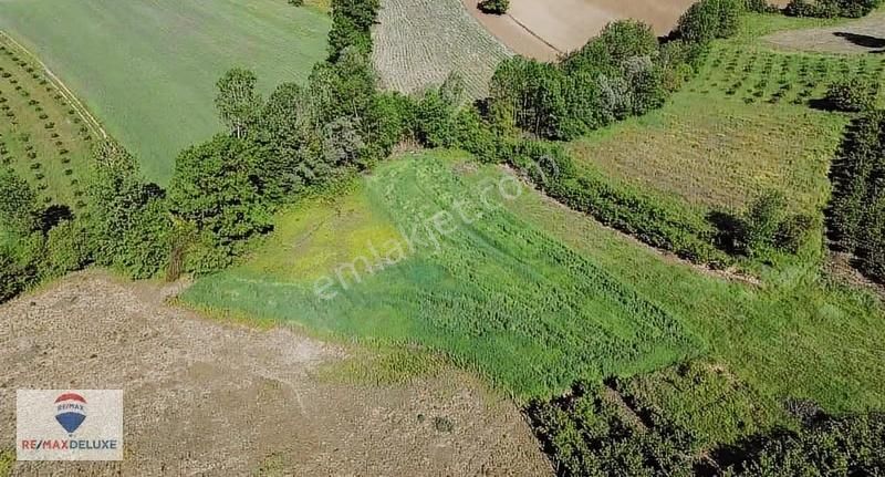 Üğümce'de Köy Merkezine Yakın Satılık Yatırımlık 1112 M2 Arazi