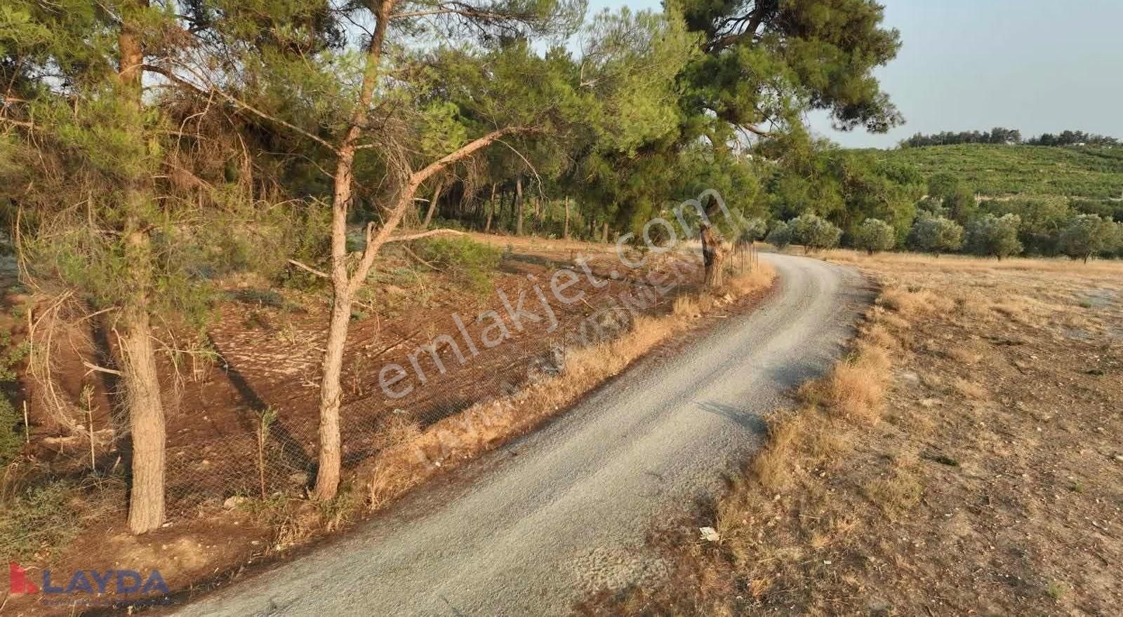 Layda'dan Demirciköyde 250m2 Elektrik Suyu Aktif Satılık Tarla - Görsel 6