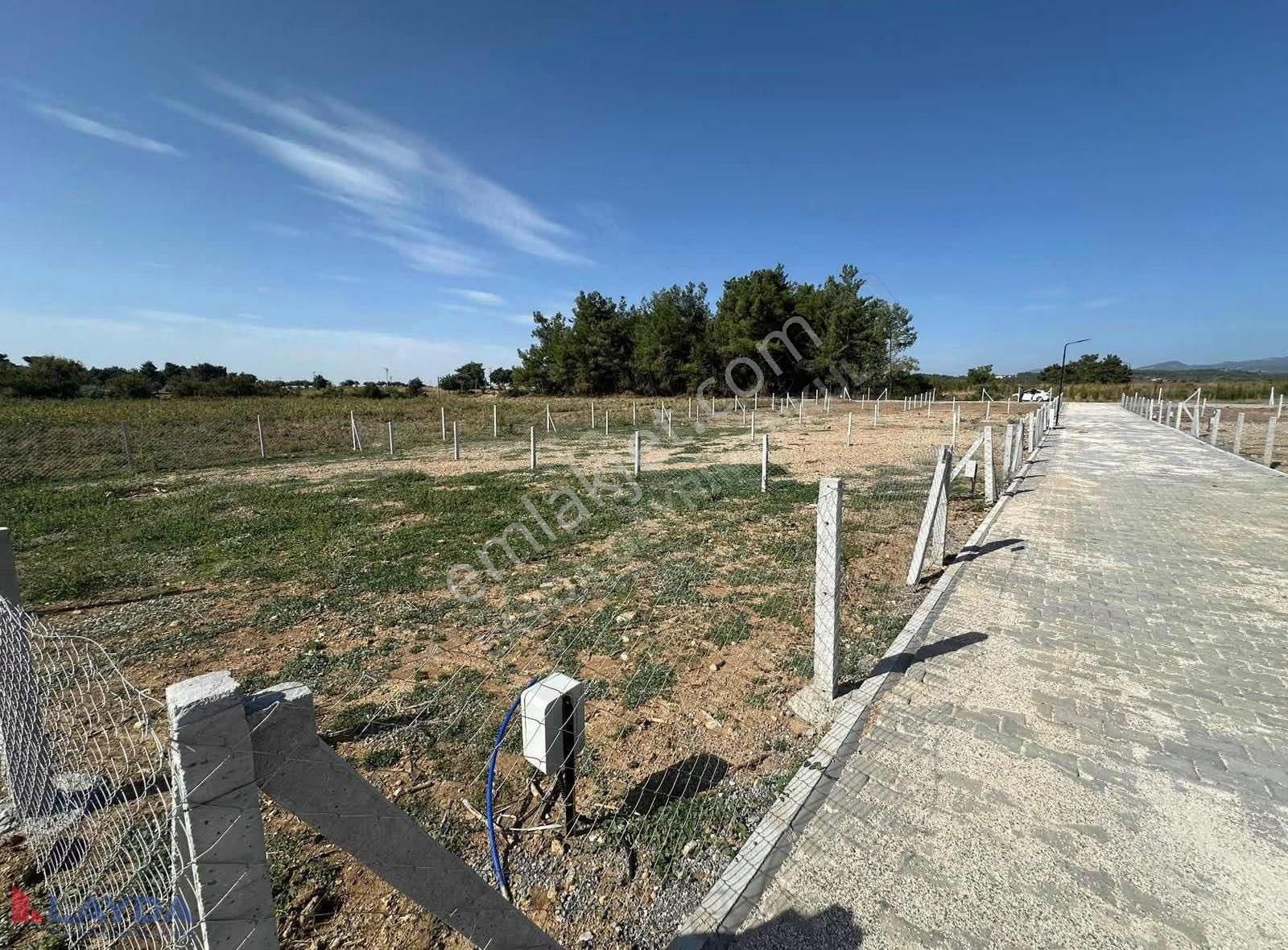 Layda'dan Demirciköyde 250m2 Elektrik Suyu Aktif Satılık Tarla - Görsel 4