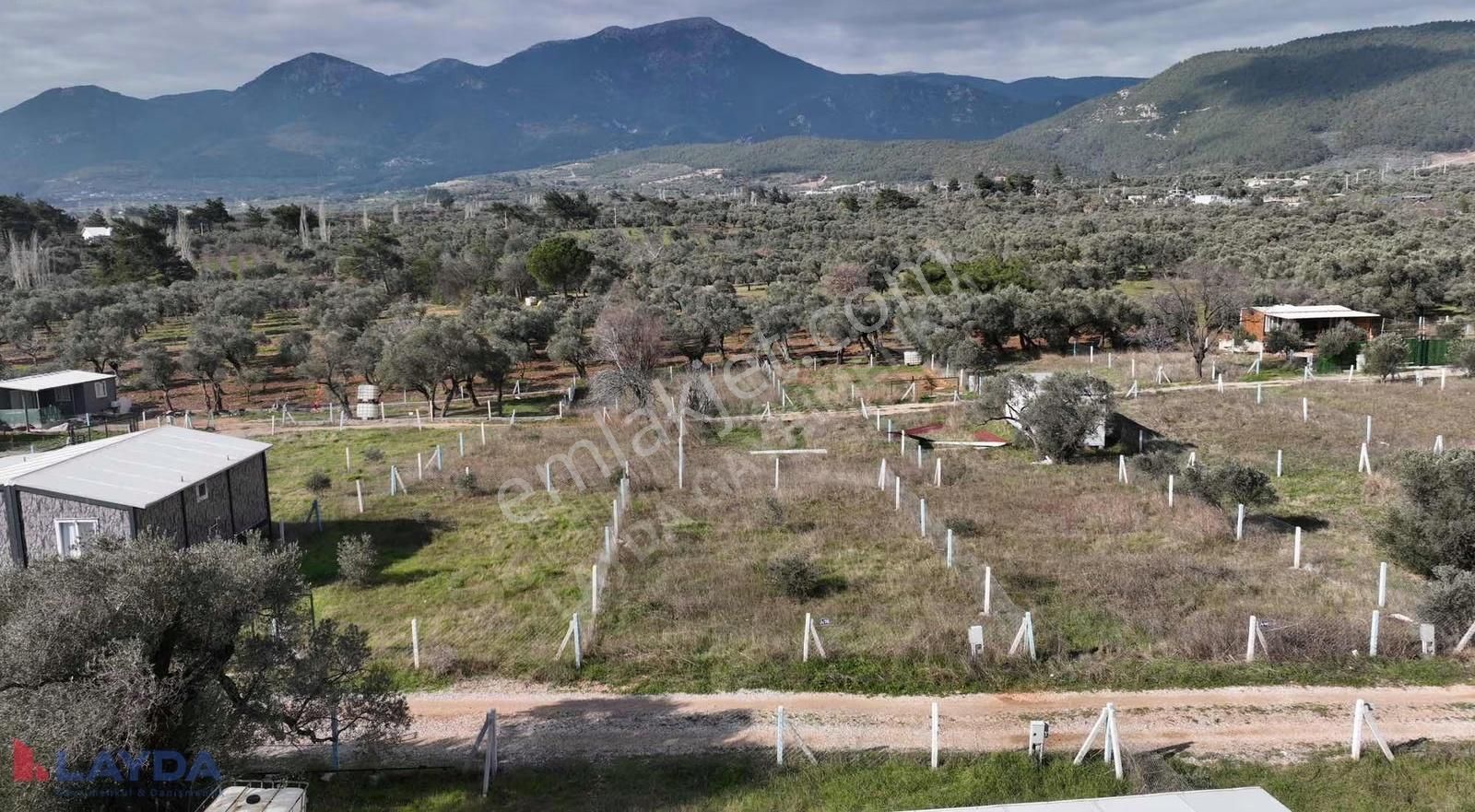 Layda'dan Kemalpaşa Dereköyde 220m2 Elektrik Su Aktif - Görsel 2