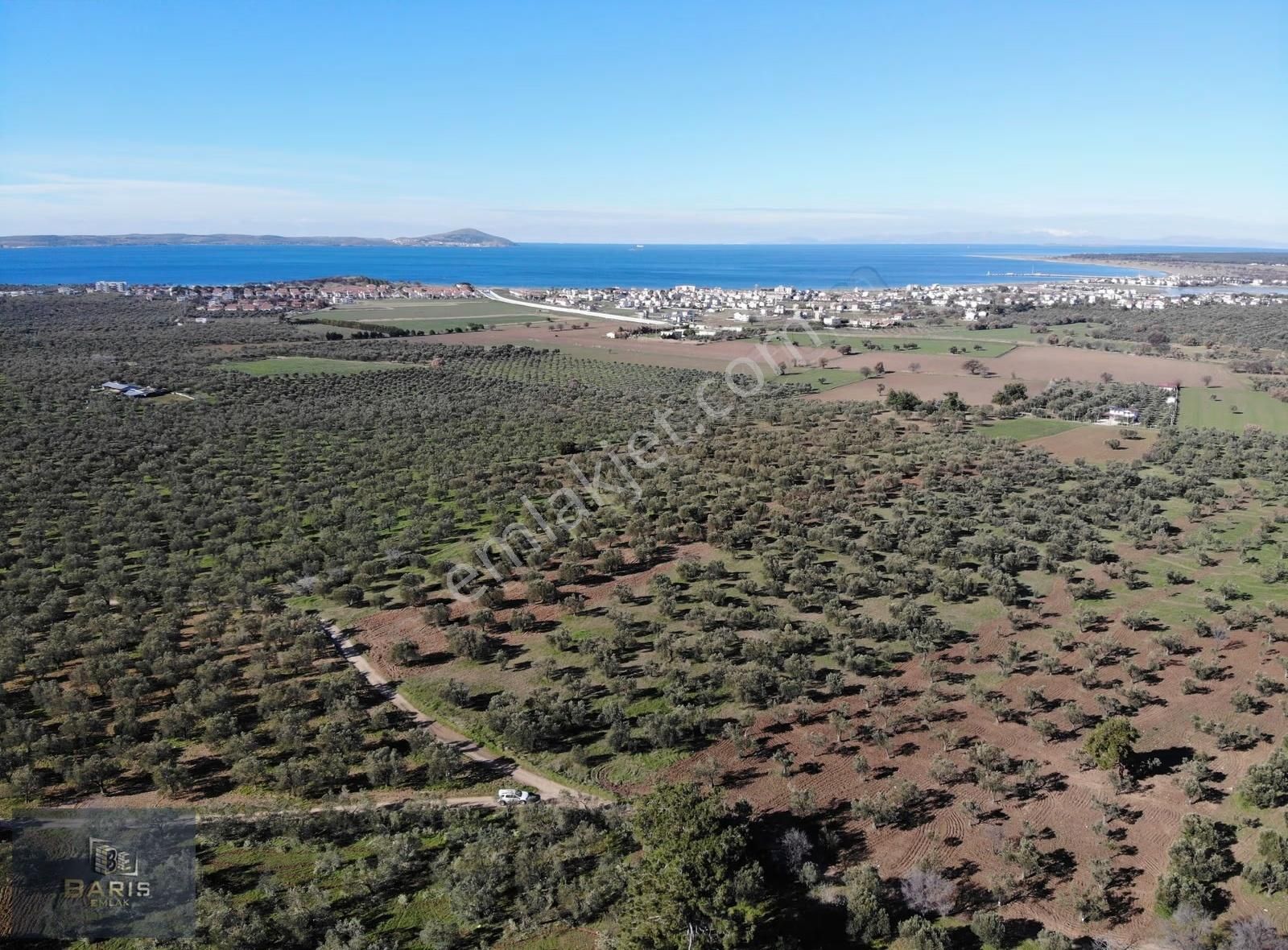 Çanakkale Geyikli Hürriyet Mahallesinde Satlık Kupon Zeytinlik - Görsel 6